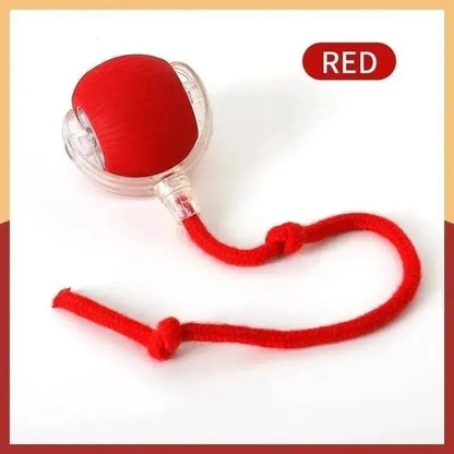PawVibe™ Automatic Bouncing Dog Toy